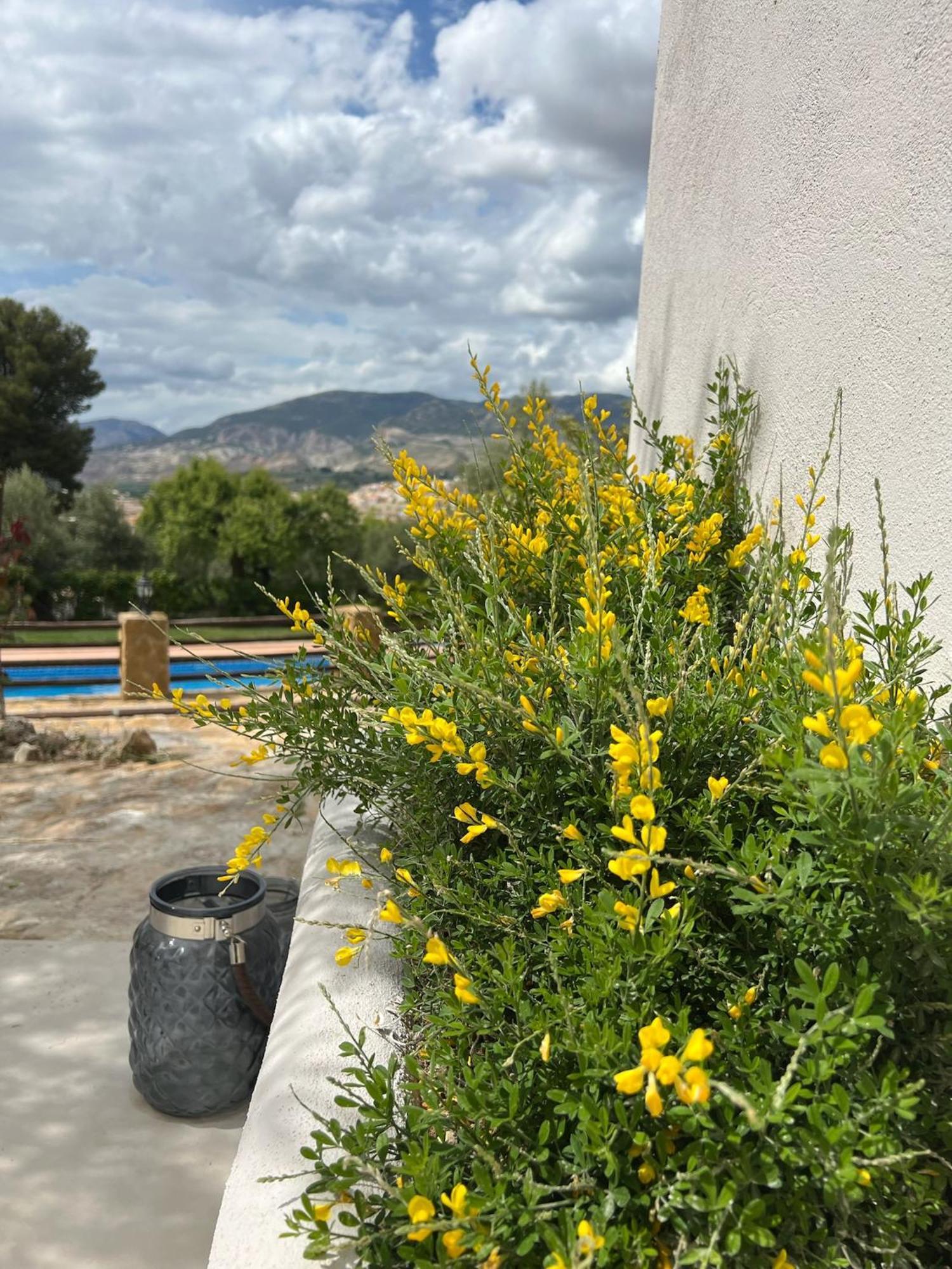 Lenta Suites Pozo Alcón المظهر الخارجي الصورة